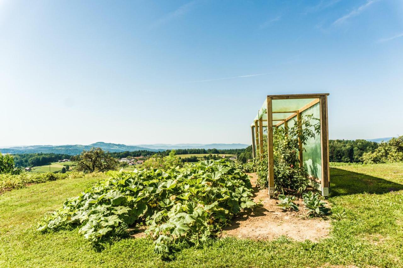 Homestay Kogelschneiderhof *